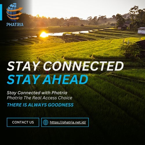 Stay Connected with Phatria
