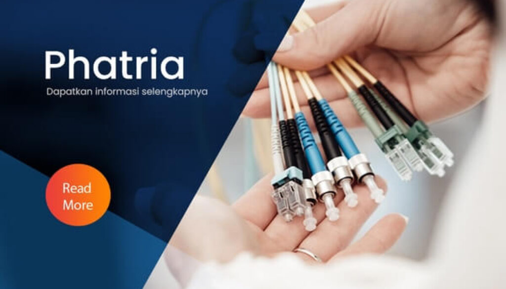 phatria - fiber optic